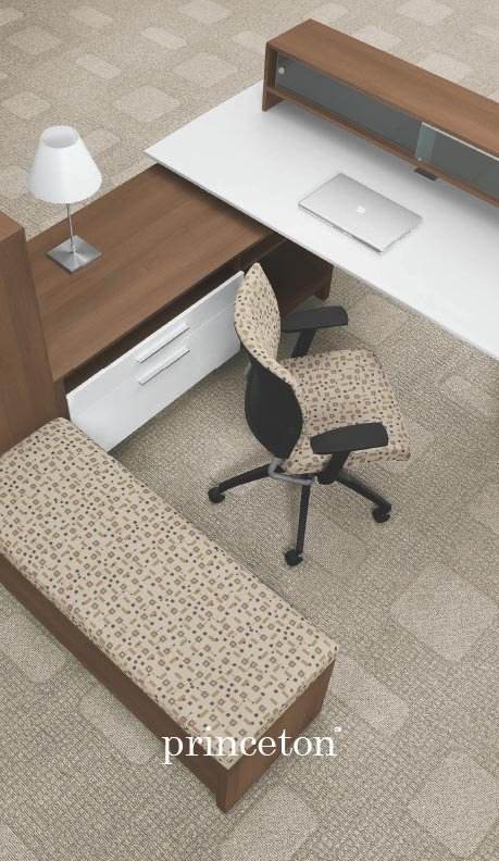 190021_NeoConPrinceton_01FA-WEB-E