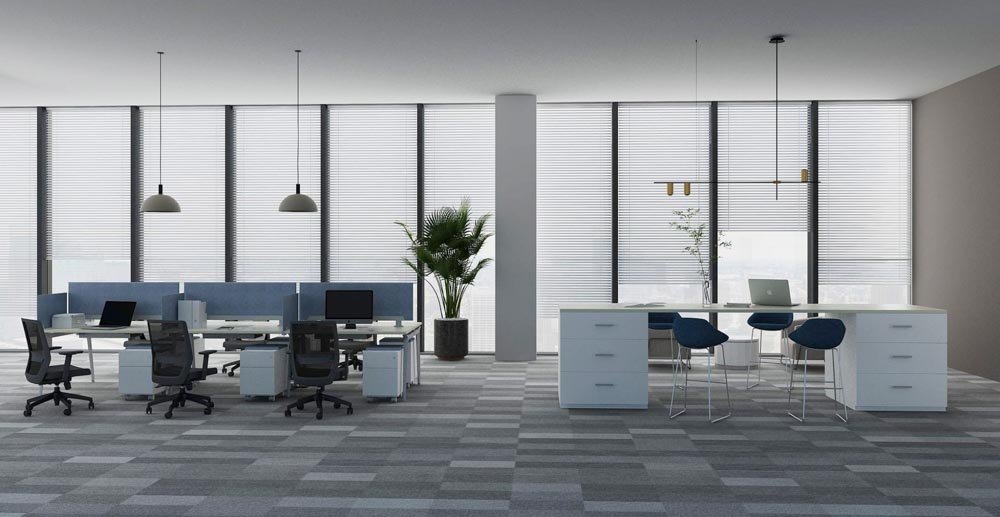 50776912247_8592ecaab0_k-scaled