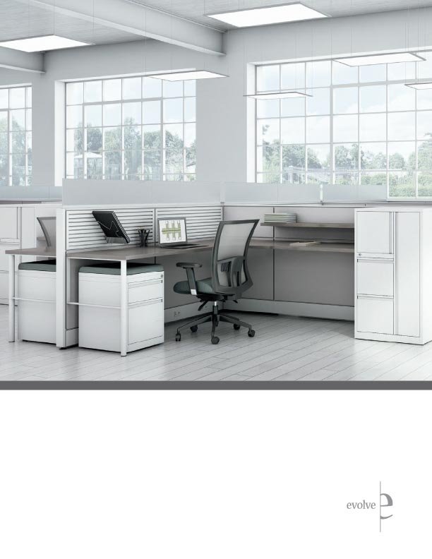 EvolveSystems_brochure